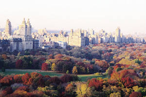 central_park_in_fall.jpg